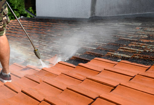 Best Best Pressure Washing Companies  in Maple Heights, OH